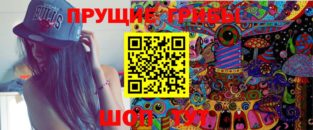 Псилоцибиновые грибы Cubensis  Вход с VPN  Серов 