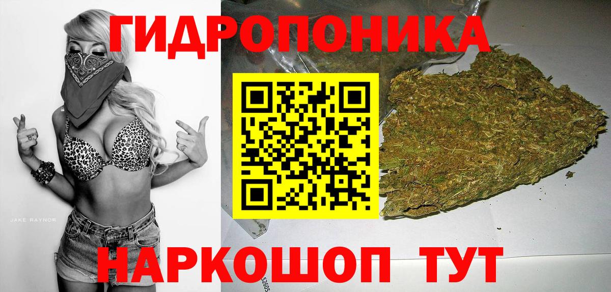 Бошки марихуана OG Kush Серов